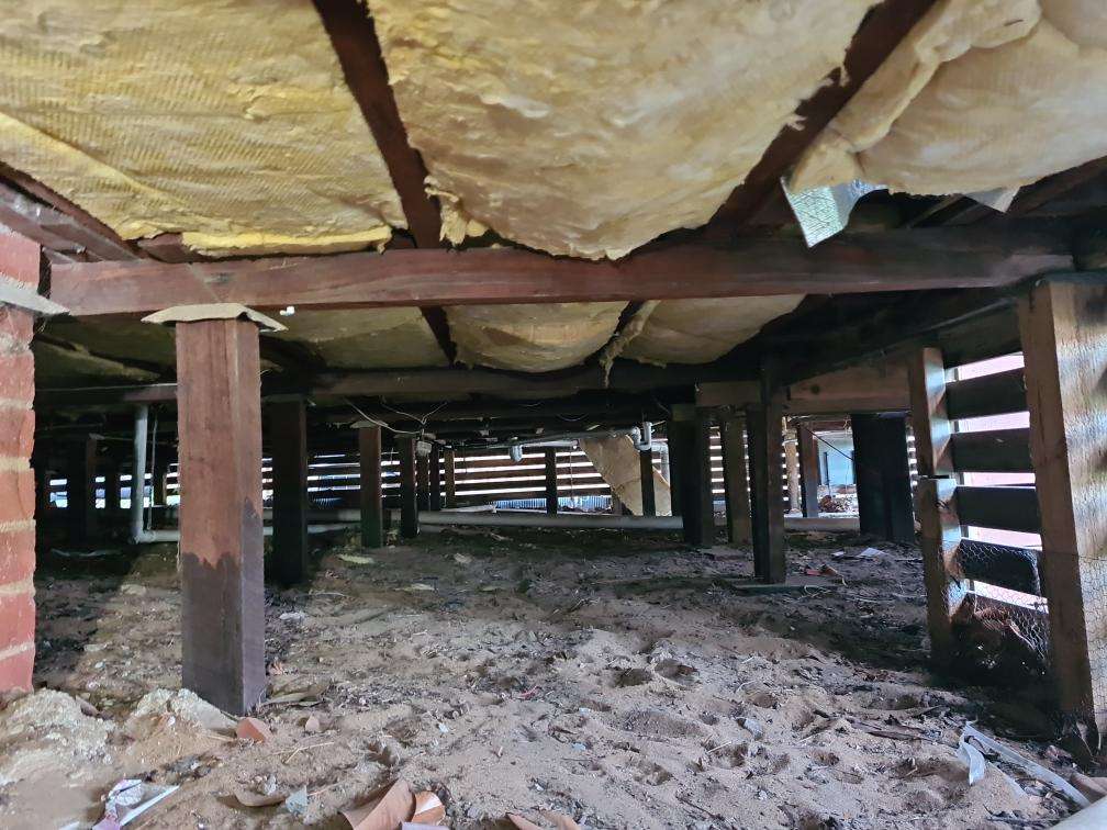 Obstructed Roof Space Timbers — real termite defect photographed in a SURE Building Inspections report