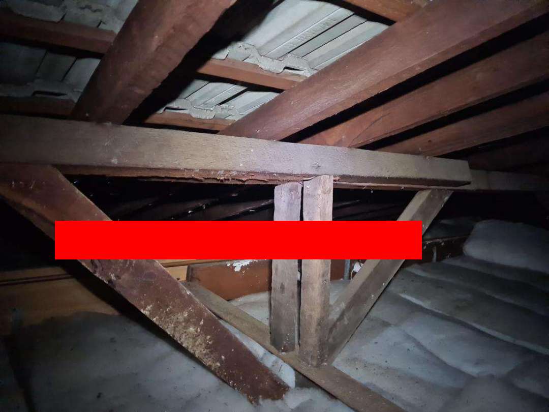 Missing Roof Bracing and Tiedowns — real structural defect photographed in a SURE Building Inspections report