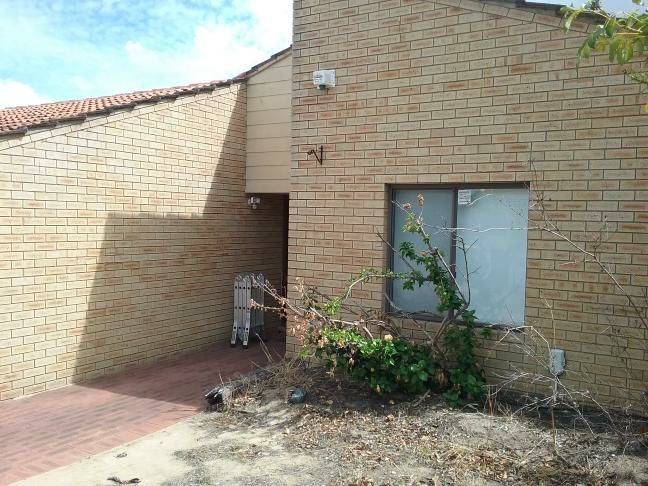 Damp on Exterior Wall from Gutter Leak — real moisture defect photographed in a SURE Building Inspections report