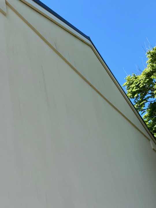 Mould on Eave Lining — real moisture defect photographed in a SURE Building Inspections report