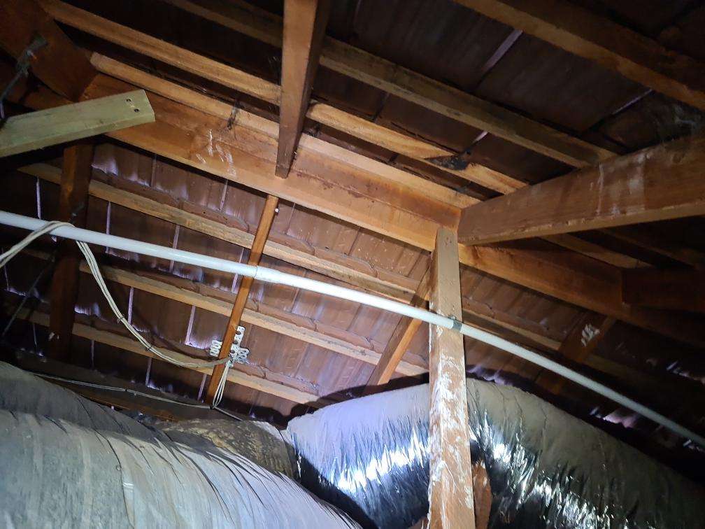 Obstructed Roof Void due to Insulation — real structural defect photographed in a SURE Building Inspections report