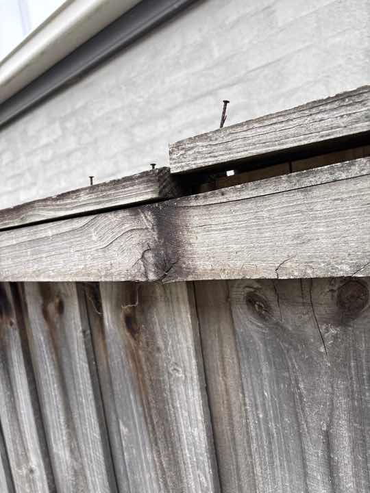 Timber Fungal Decay Around Home (Conducive Condition) — real termite defect photographed in a SURE Building Inspections report