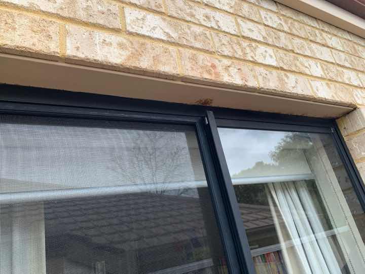Lintel Rust Above External Window — real structural defect photographed in a SURE Building Inspections report