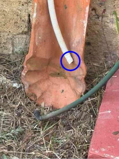 Excessive Moisture Readings — real moisture defect photographed in a SURE Building Inspections report