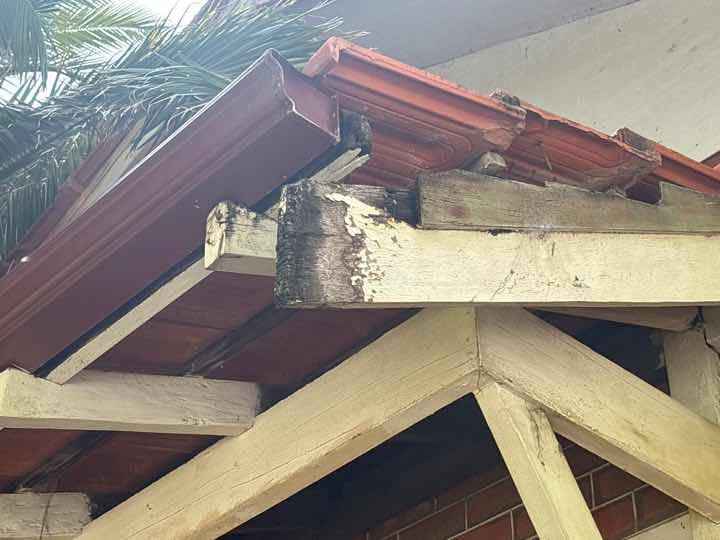 Fungi Decay (Rot) in Timber Sleepers — real termite defect photographed in a SURE Building Inspections report