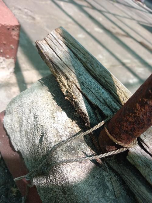 Chemical Delignification of Roof Frame — real structural defect photographed in a SURE Building Inspections report