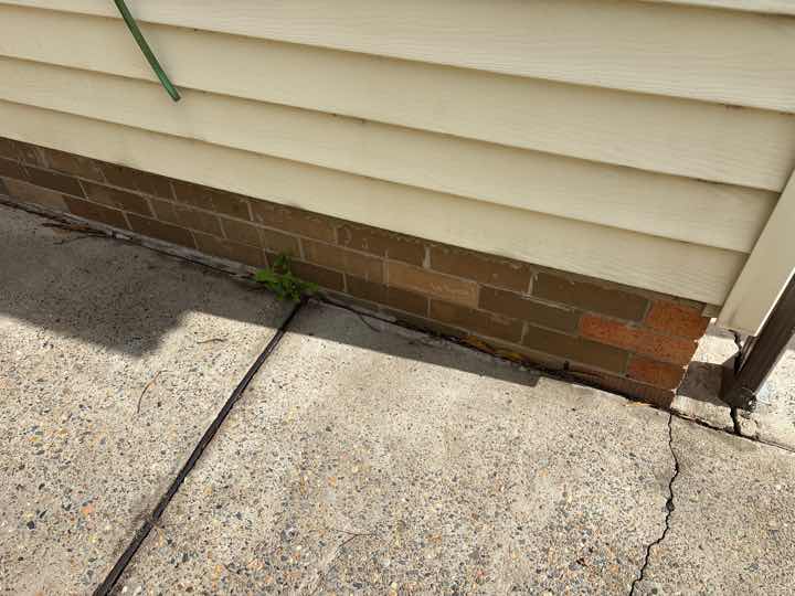 Mulch and Garden Beds Against Building Termite Conducive — real termite defect photographed in a SURE Building Inspections report