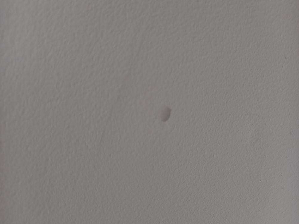 Cracked Tiles — real finishes defect photographed in a SURE Building Inspections report