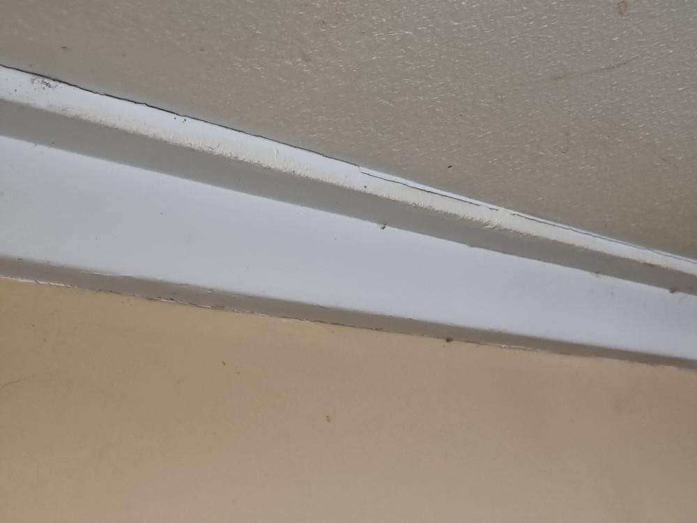 Sagging Or Unevenness In Bedroom 2 Ceiling — real structural defect photographed in a SURE Building Inspections report