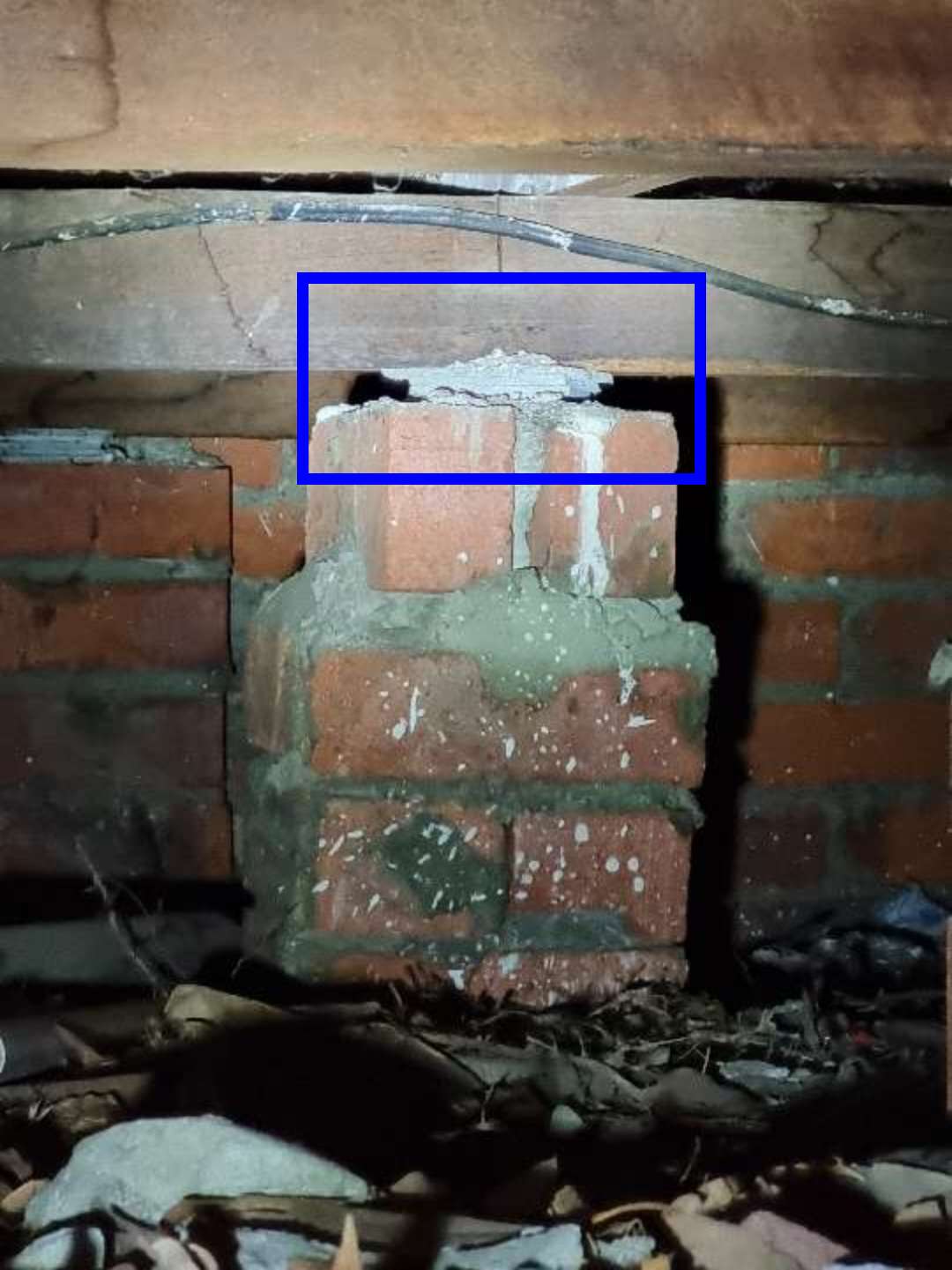 No Ant Capping Installed — real termite defect photographed in a SURE Building Inspections report