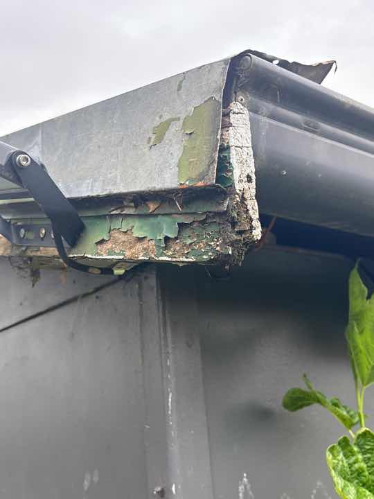 Fungi Decay in Timbers — real moisture defect photographed in a SURE Building Inspections report