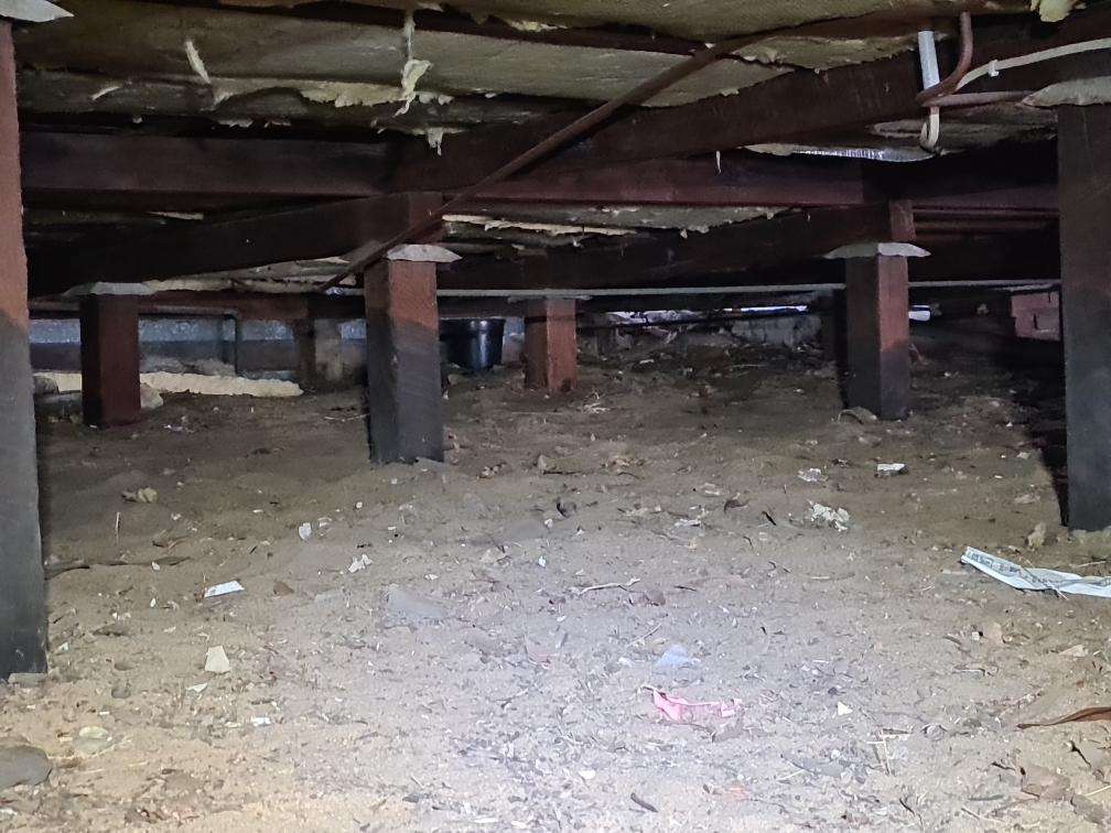 Obstructed Roof Space Timbers — real termite defect photographed in a SURE Building Inspections report