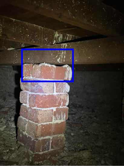 Absence of Termite Shields (Ant Caps) — real termite defect photographed in a SURE Building Inspections report