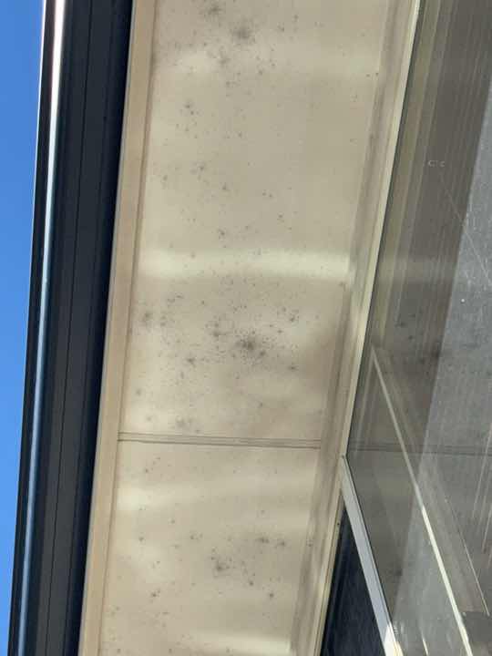 Mould on Eave Lining — real moisture defect photographed in a SURE Building Inspections report