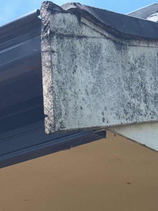 General Timber Fungal Decay (Conducive Condition) — real moisture defect photographed in a SURE Building Inspections report