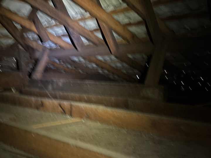 Sub-Floor Access Restricted by Toxic Mould — real moisture defect photographed in a SURE Building Inspections report