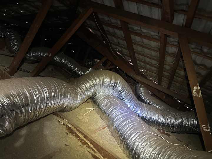 Obstructed Roof Space Timbers — real termite defect photographed in a SURE Building Inspections report
