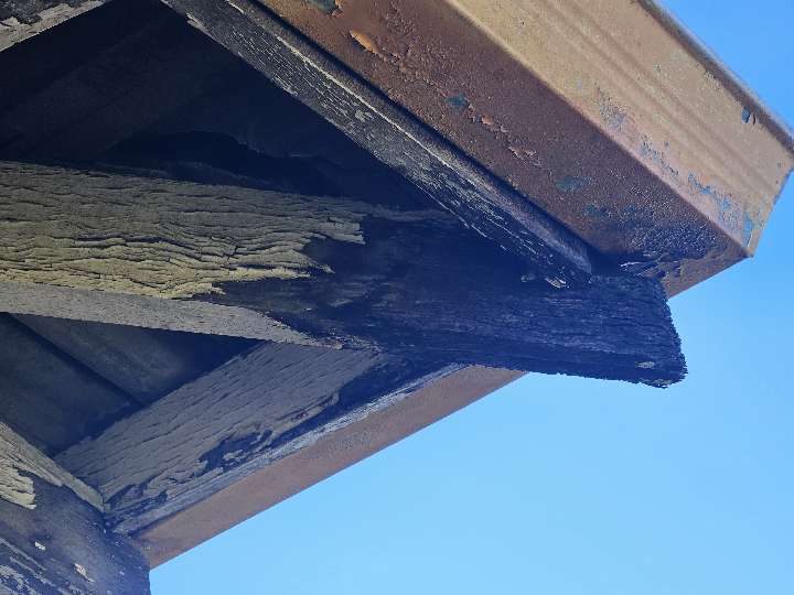 Eave Lining Timber Fungal Decay — real moisture defect photographed in a SURE Building Inspections report