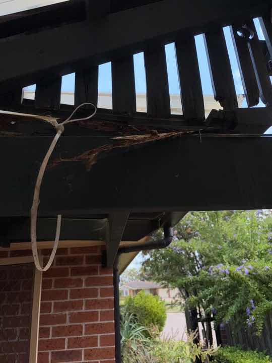 Fungal Decay in Deck — real moisture defect photographed in a SURE Building Inspections report