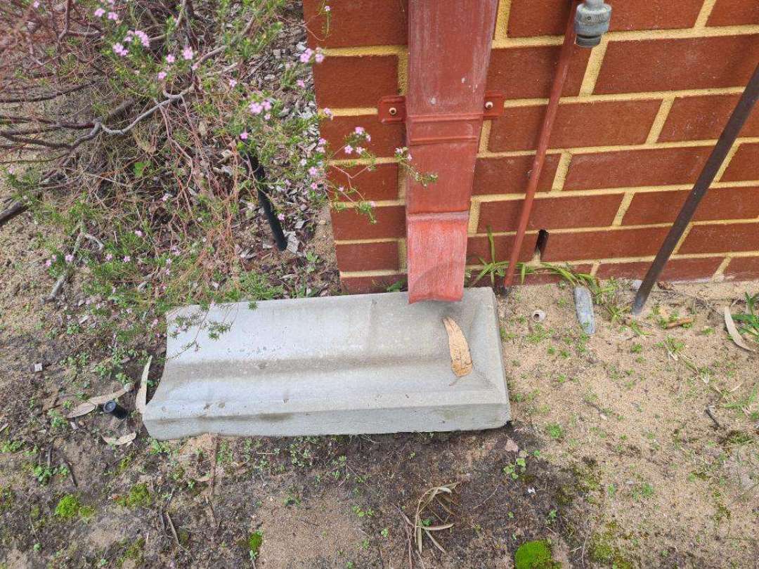 High Termite Risk Due to Environmental Surrounds — real termite defect photographed in a SURE Building Inspections report