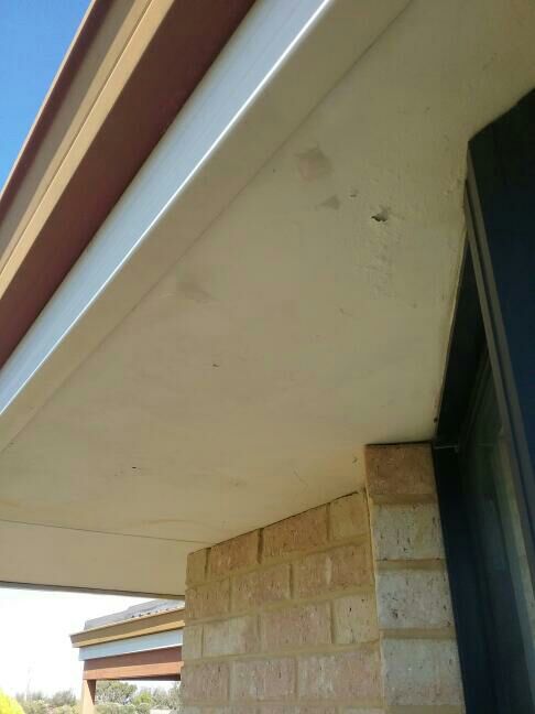 Missing or Unidentifiable Damp Proof Course — real moisture defect photographed in a SURE Building Inspections report