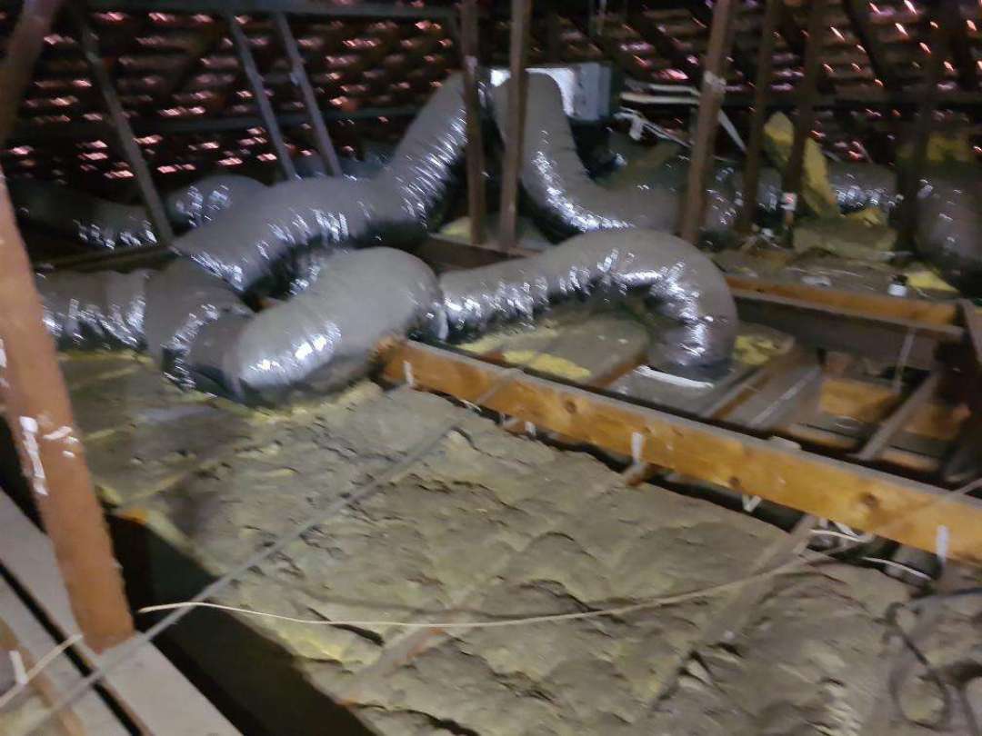 Roof Void Obstruction by Insulation — real termite defect photographed in a SURE Building Inspections report