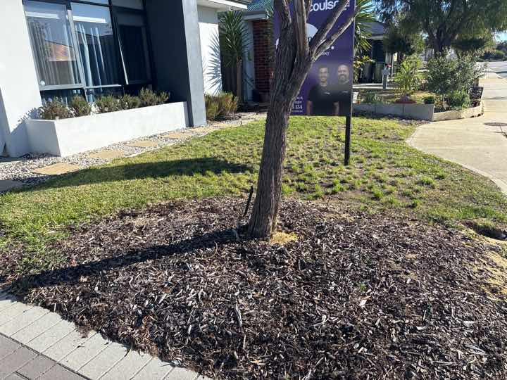 Mulch and Garden Beds Against Building Termite Conducive — real termite defect photographed in a SURE Building Inspections report