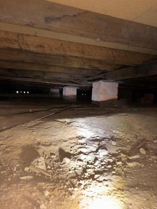 Termite Damage to Sub-Floor Frame — real termite defect photographed in a SURE Building Inspections report