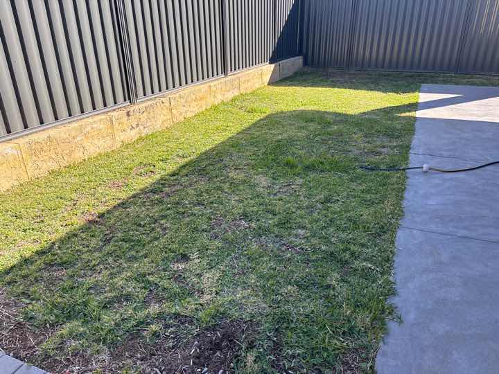 Mulch and Garden Beds Against Building Termite Conducive — real termite defect photographed in a SURE Building Inspections report