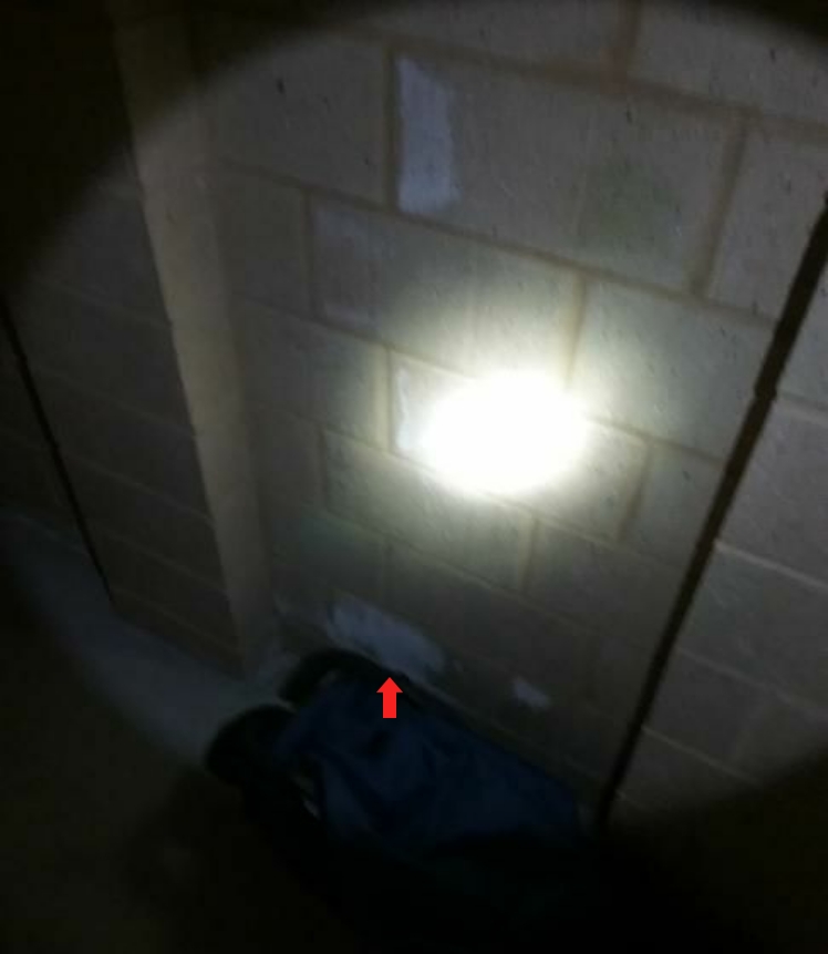 External Wall Salt Residue and Moisture — real moisture defect photographed in a SURE Building Inspections report