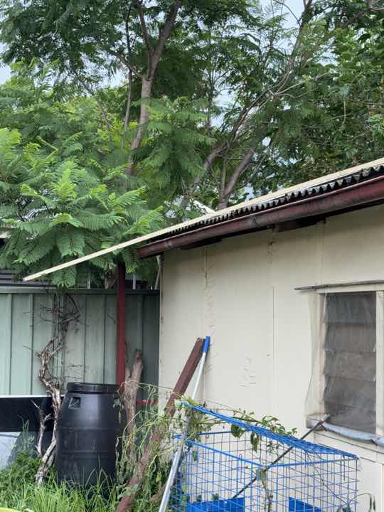 Inaccessible Roof Space Top Plates — real termite defect photographed in a SURE Building Inspections report