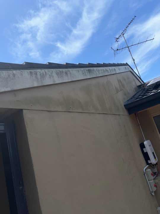 General Timber Fungal Decay (Conducive Condition) — real moisture defect photographed in a SURE Building Inspections report