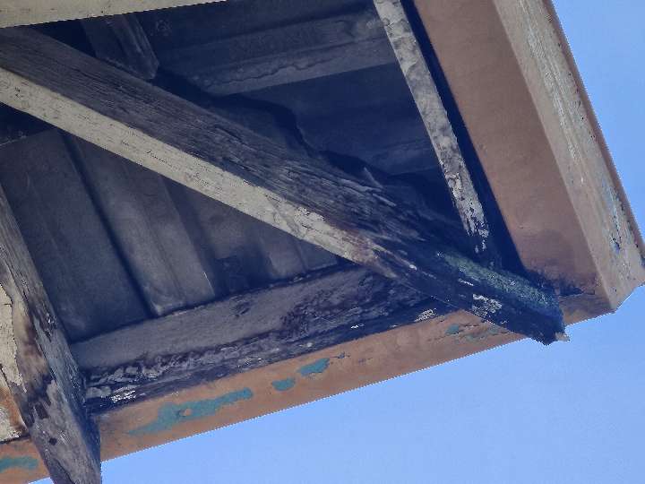 Eave Lining Timber Fungal Decay — real moisture defect photographed in a SURE Building Inspections report