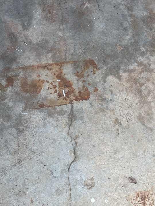 Wood Rot to Structural Framing — real structural defect photographed in a SURE Building Inspections report