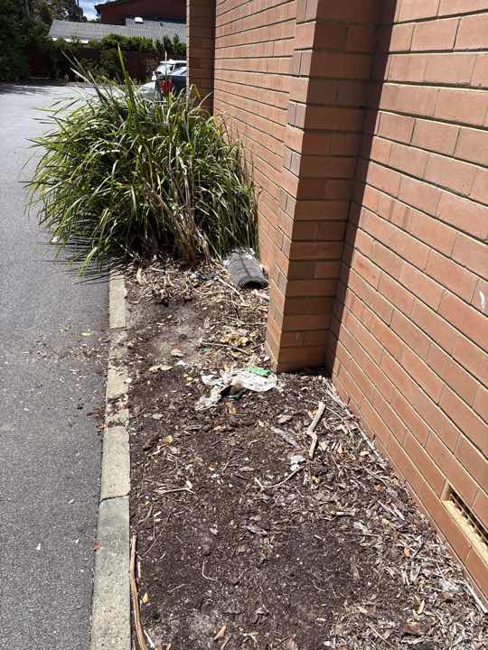 Mulch and Garden Beds Against Building Termite Conducive — real termite defect photographed in a SURE Building Inspections report