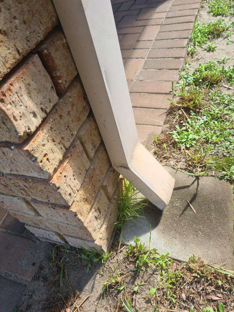 High Termite Risk Due to Environmental Surrounds — real termite defect photographed in a SURE Building Inspections report