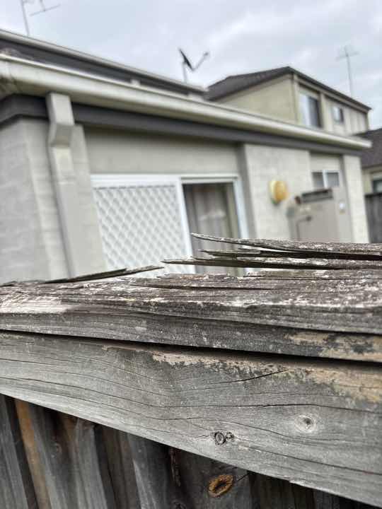 Timber Fungal Decay Around Home (Conducive Condition) — real termite defect photographed in a SURE Building Inspections report