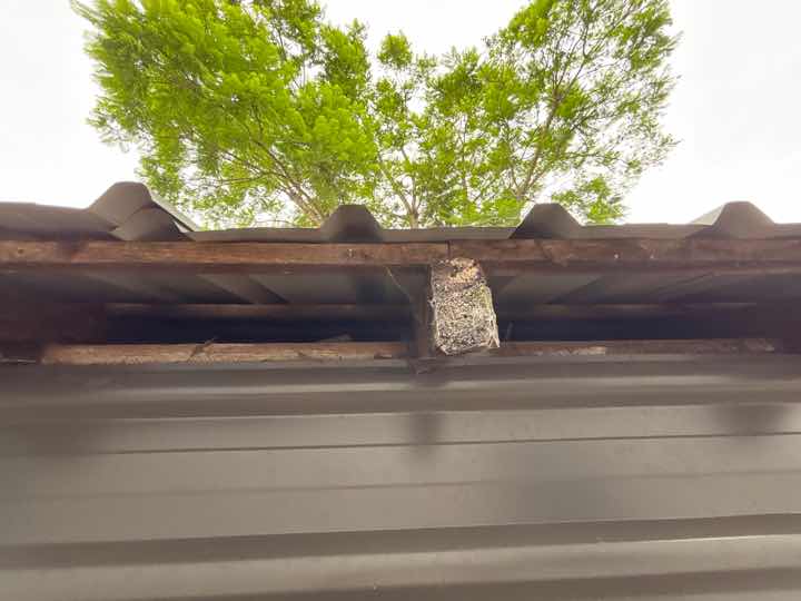 Damaged Door Lock — real structural defect photographed in a SURE Building Inspections report