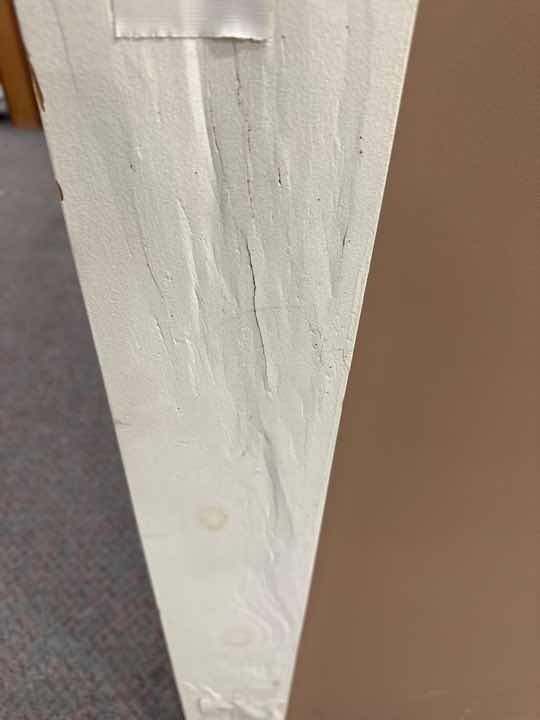 Termite Damage in Tree Stump — real termite defect photographed in a SURE Building Inspections report