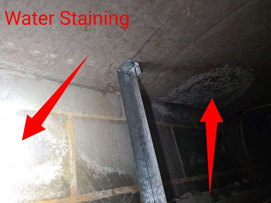 Ensuite Window Leak — real moisture defect photographed in a SURE Building Inspections report