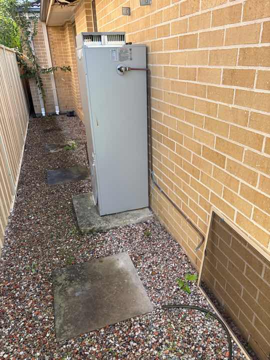 Trees Near Dwelling — real termite defect photographed in a SURE Building Inspections report