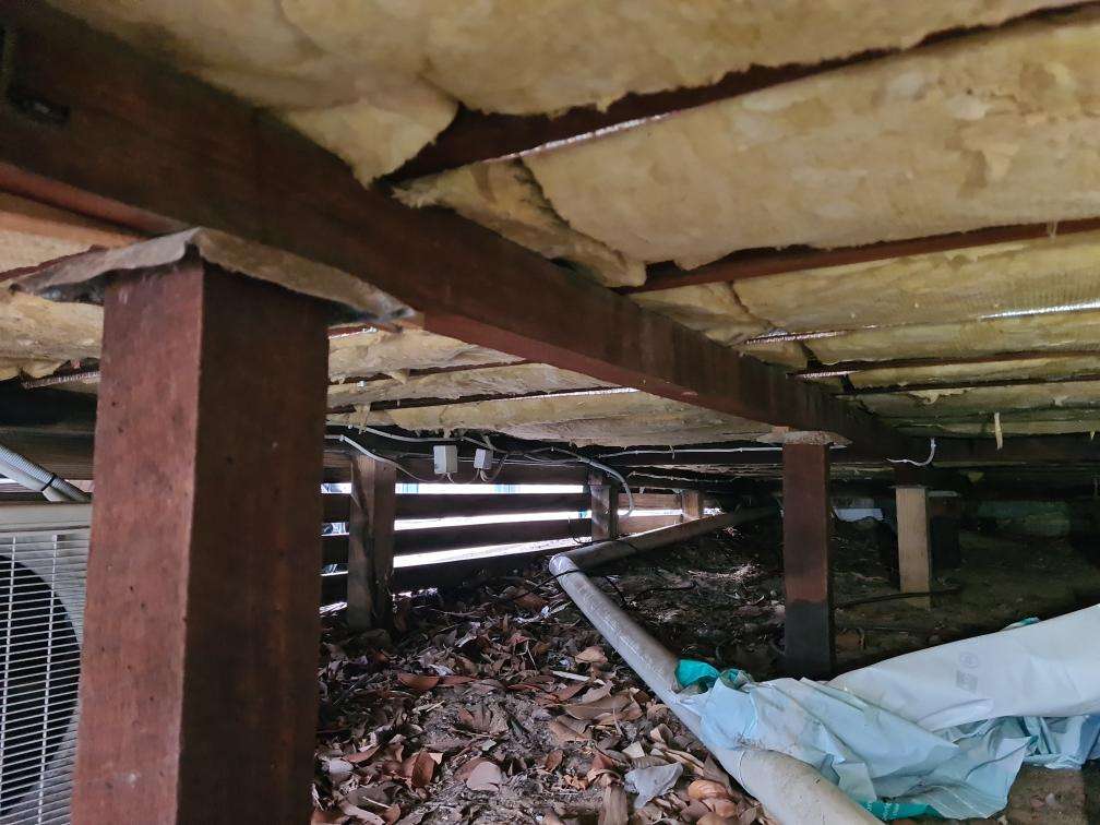 Obstructed Roof Space Timbers — real termite defect photographed in a SURE Building Inspections report