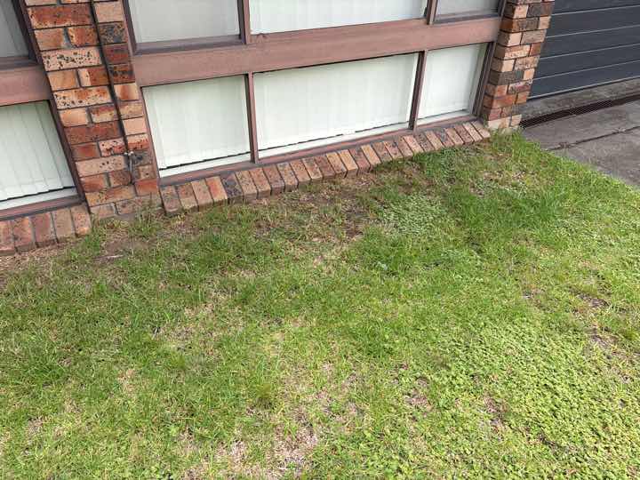 Timber Fungal Decay Around Home (Conducive Condition) — real termite defect photographed in a SURE Building Inspections report