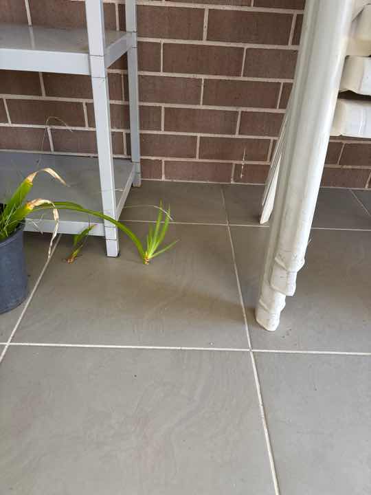 Concealed Slab Edge — real termite defect photographed in a SURE Building Inspections report