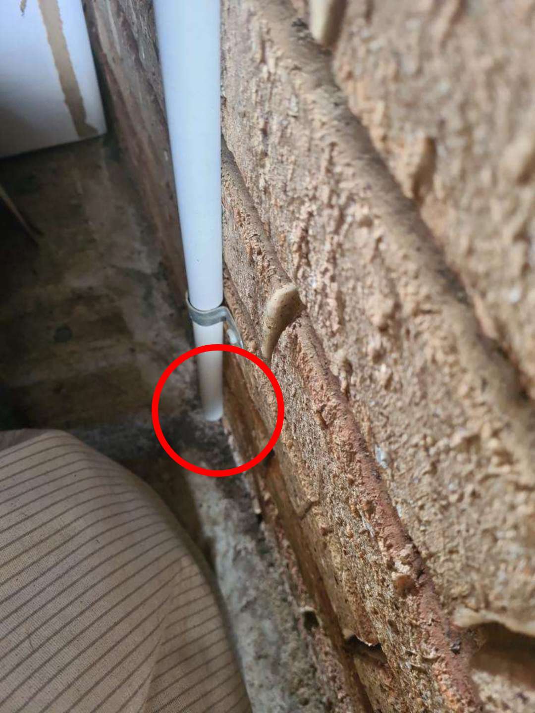 Wall Moisture Readings — real moisture defect photographed in a SURE Building Inspections report