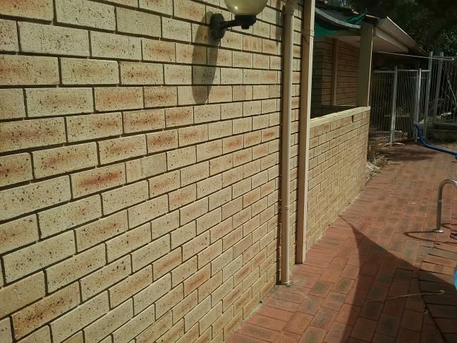 Damp on Exterior Wall from Gutter Leak — real moisture defect photographed in a SURE Building Inspections report