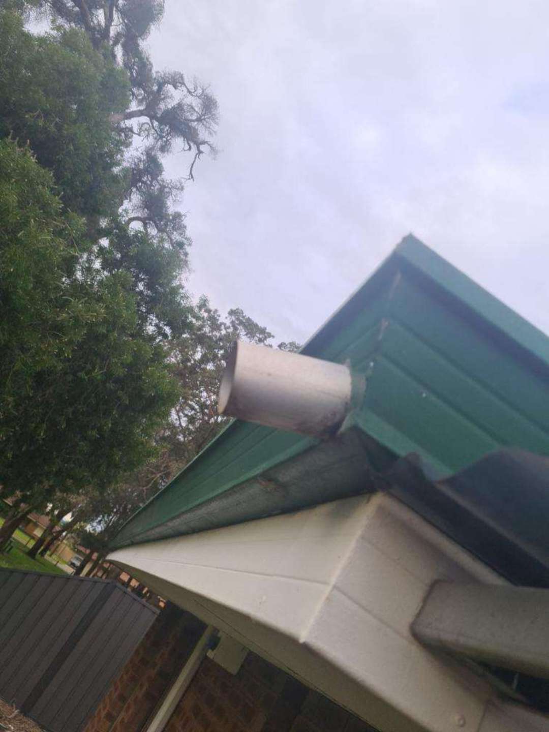 Tree Stumps on Site — real termite defect photographed in a SURE Building Inspections report